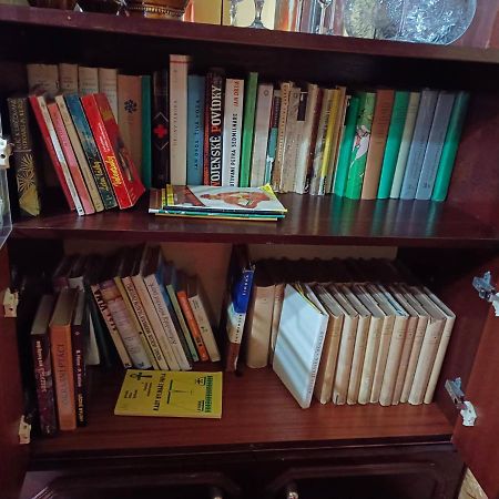 شقة Frantiskov 17 روكيتنسي ناد جيزيرو المظهر الخارجي الصورة